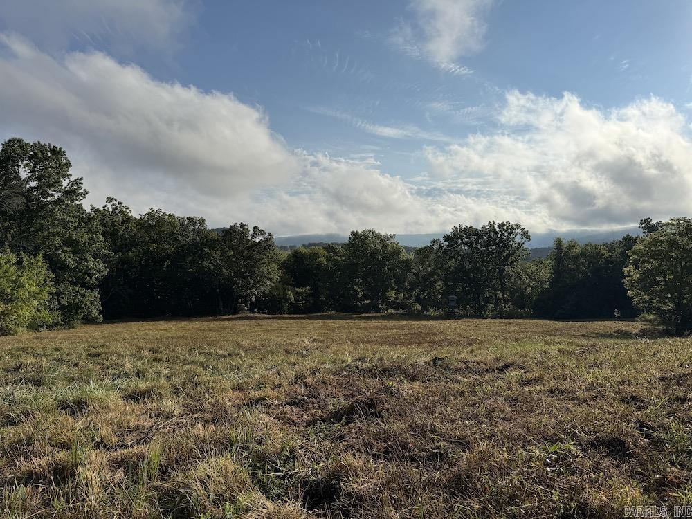  Lick Fork Road,  Marshall, AR