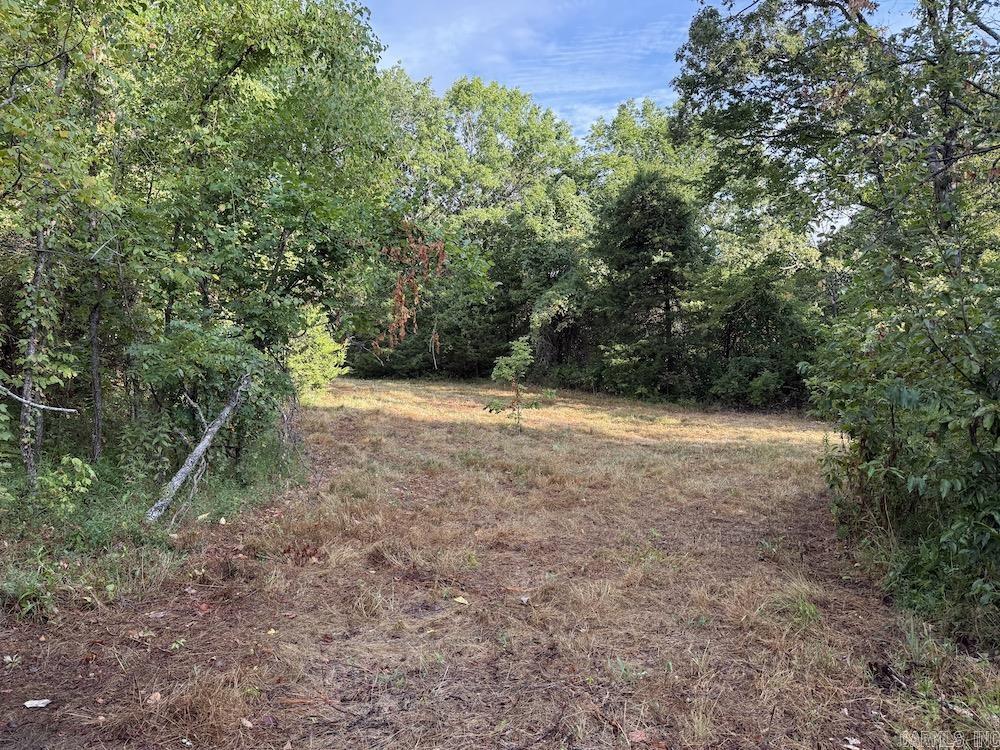  Lick Fork Road,  Marshall, AR