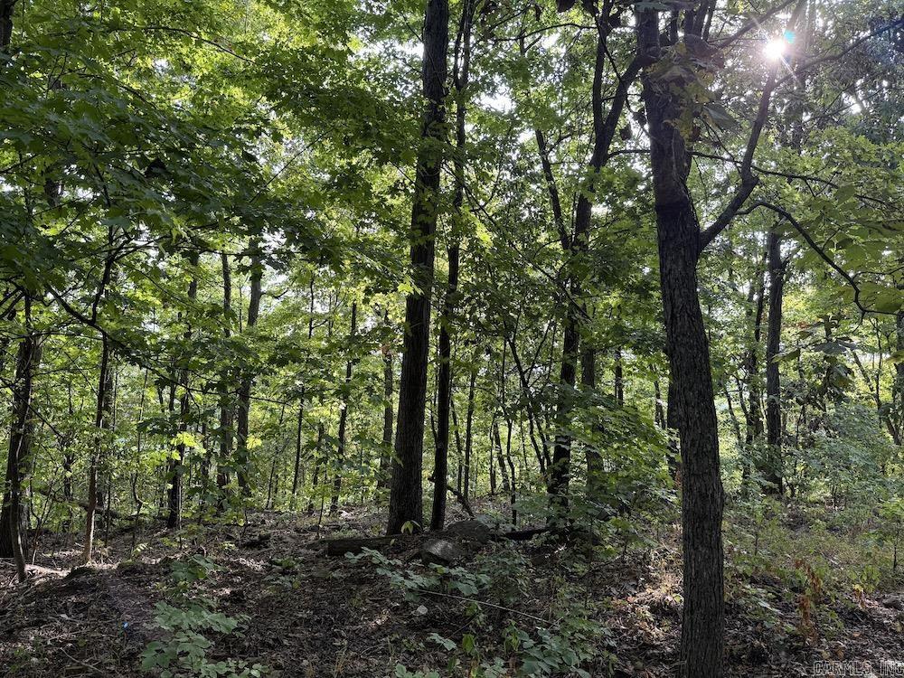  Lick Fork Road,  Marshall, AR