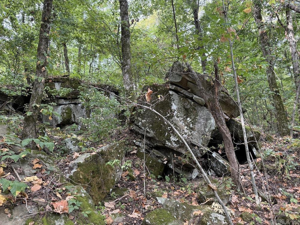  Lick Fork Road,  Marshall, AR