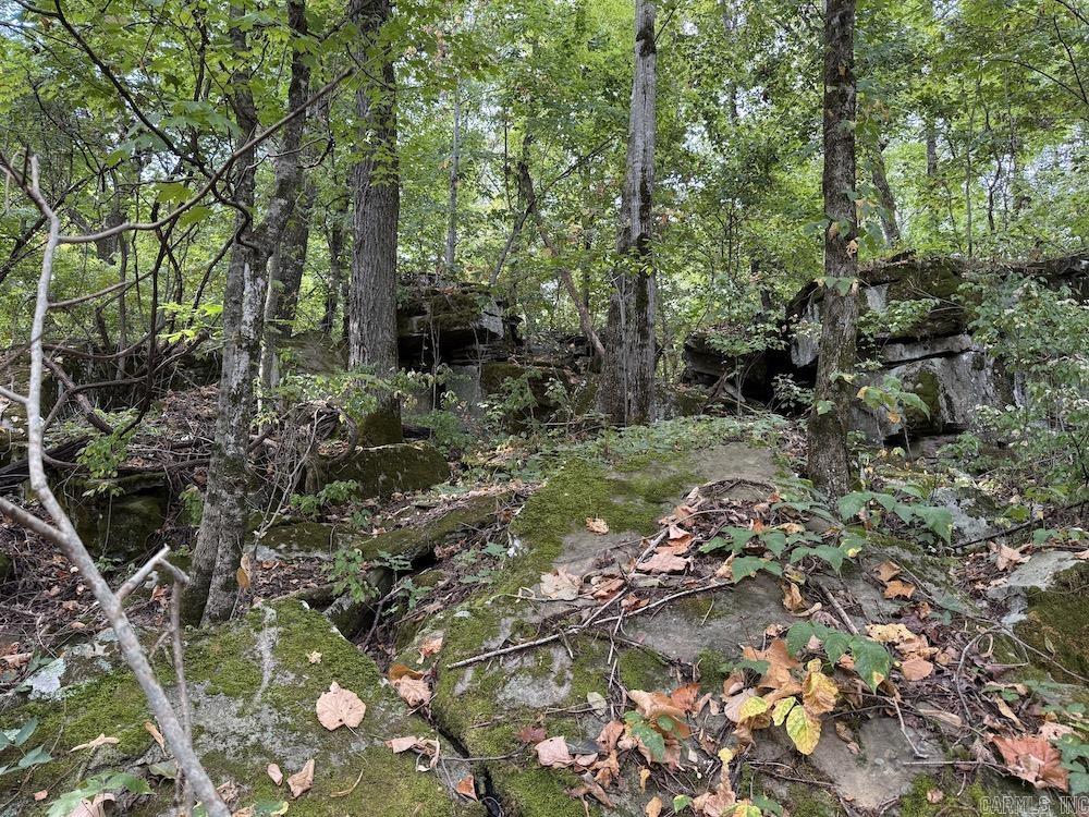  Lick Fork Road,  Marshall, AR