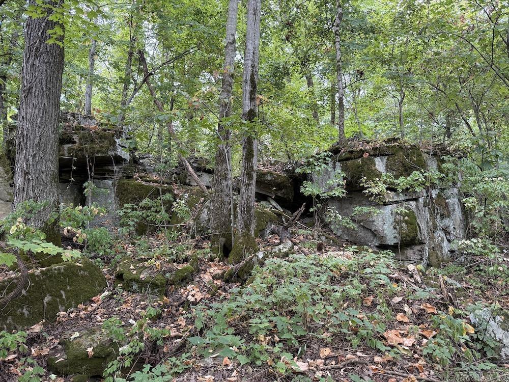  Lick Fork Road,  Marshall, AR