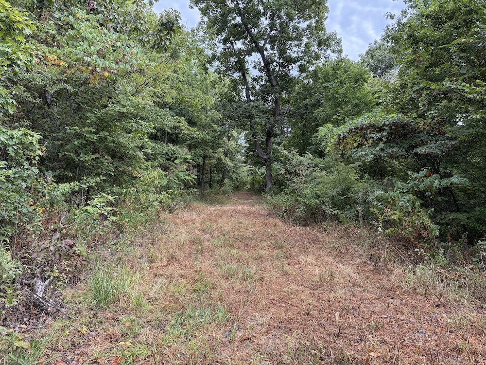  Lick Fork Road,  Marshall, AR