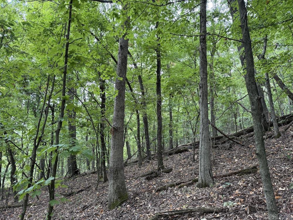  Lick Fork Road,  Marshall, AR