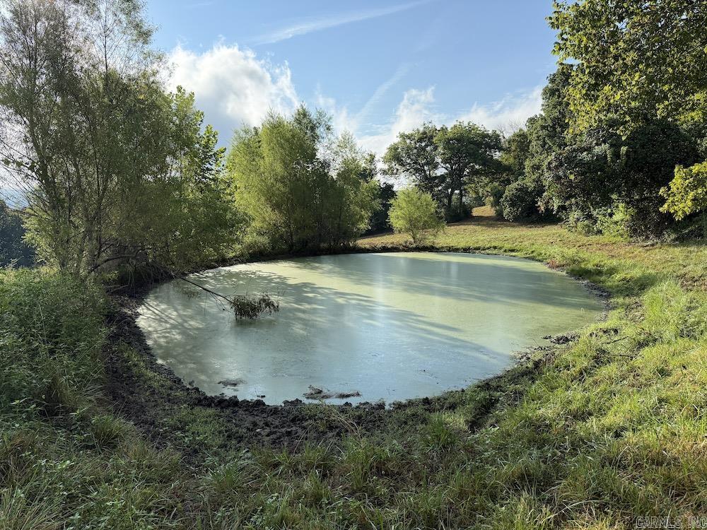  Lick Fork Road,  Marshall, AR