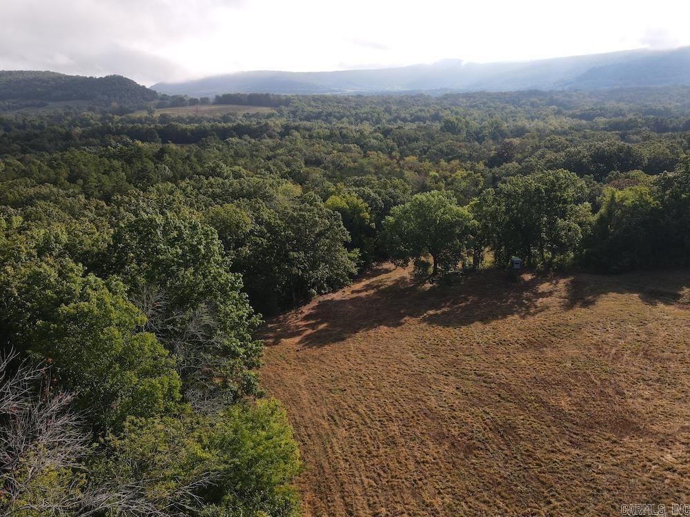  Lick Fork Road,  Marshall, AR