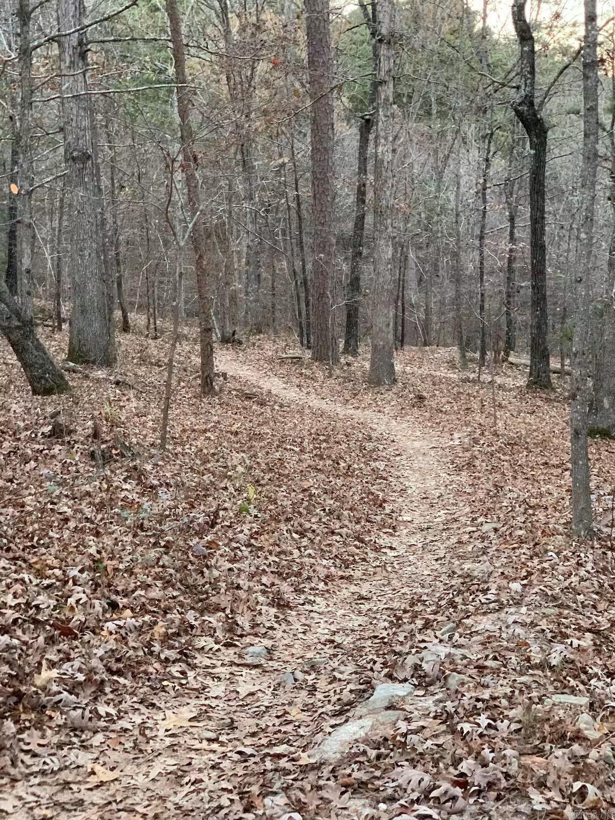 450 Cedarglades Rd Hot Springs, AR 71913