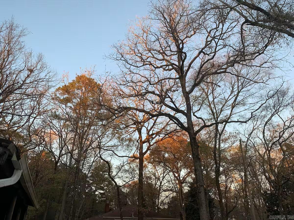 450 Cedarglades Rd Hot Springs, AR 71913