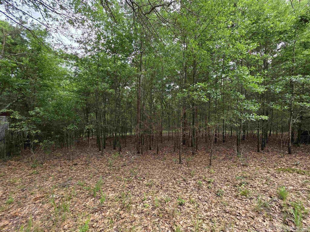 441 Polk Road 30  Hatfield, AR