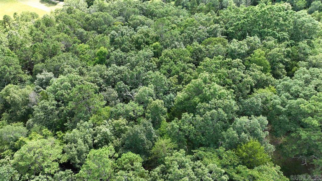 441 Polk Road 30  Hatfield, AR