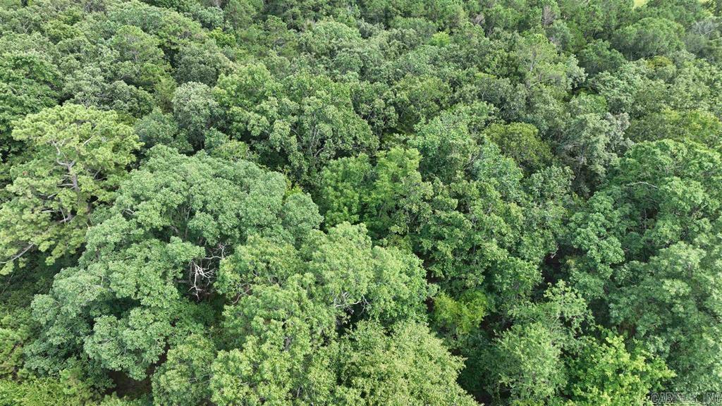 441 Polk Road 30  Hatfield, AR