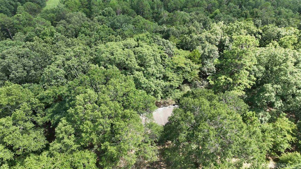 441 Polk Road 30  Hatfield, AR