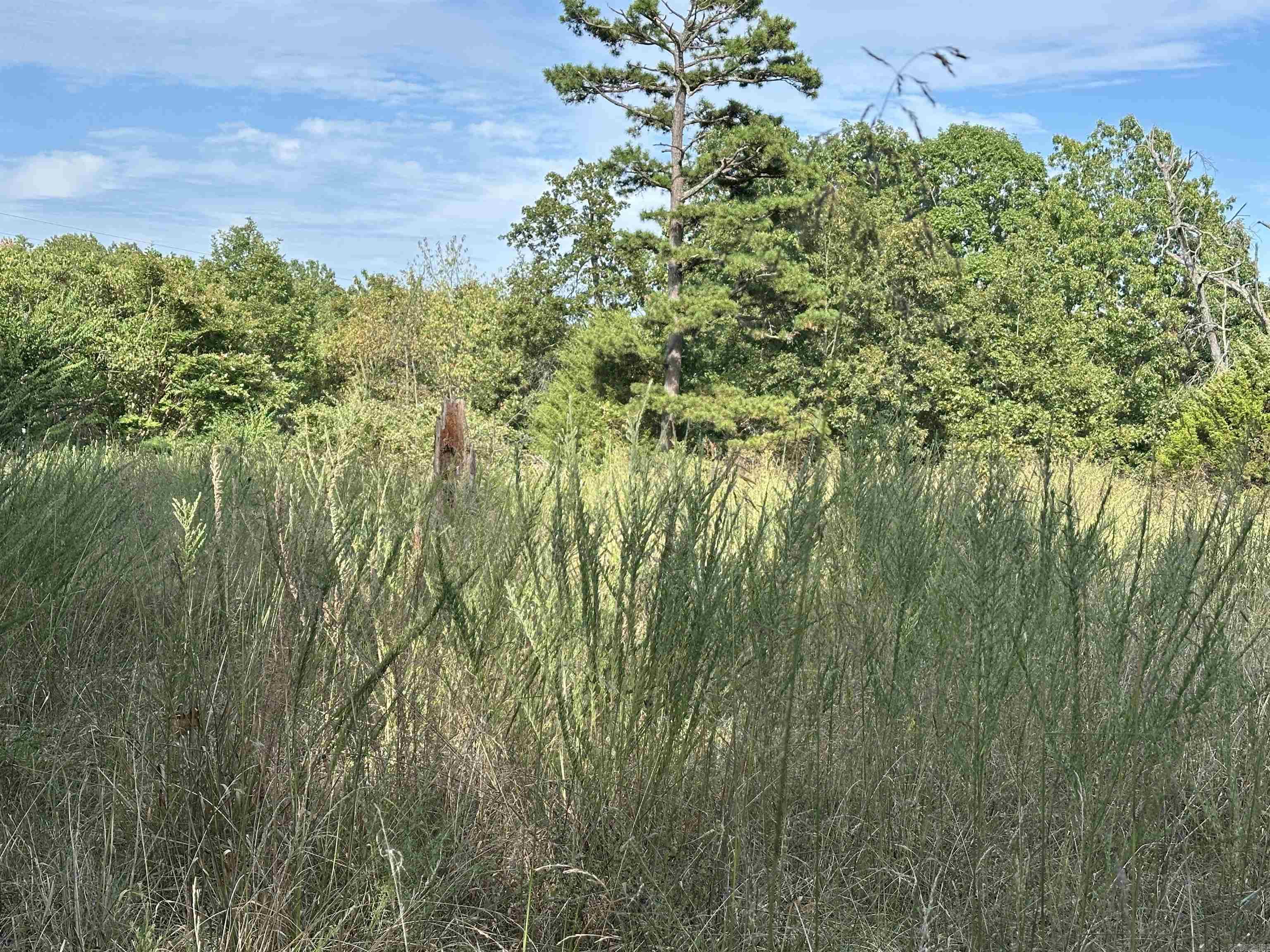 1158 Brushy Fork Road  Yellville, AR