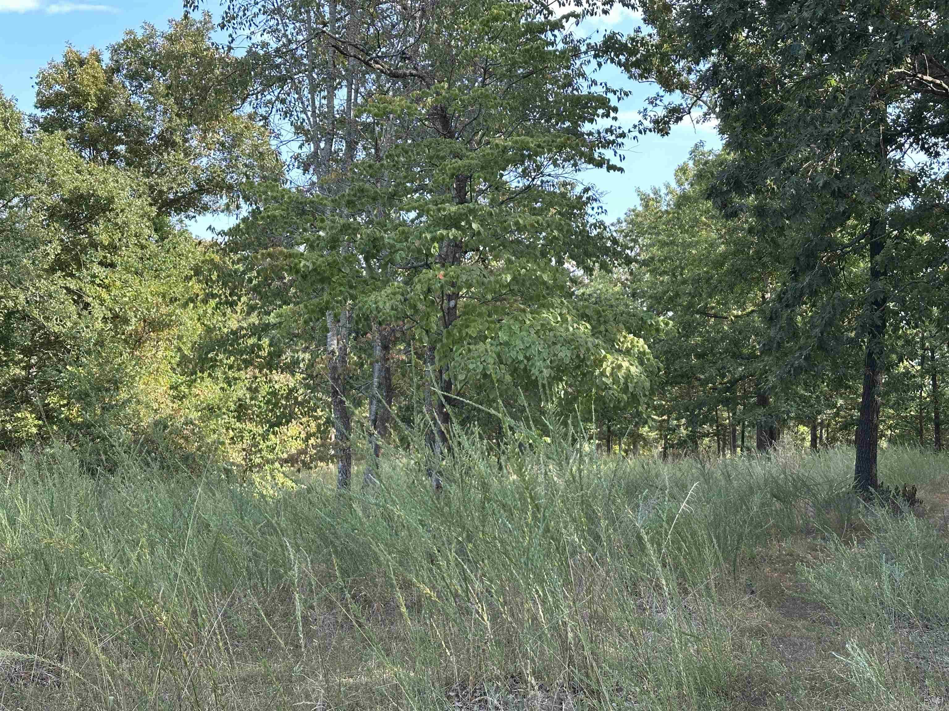 1158 Brushy Fork Road  Yellville, AR