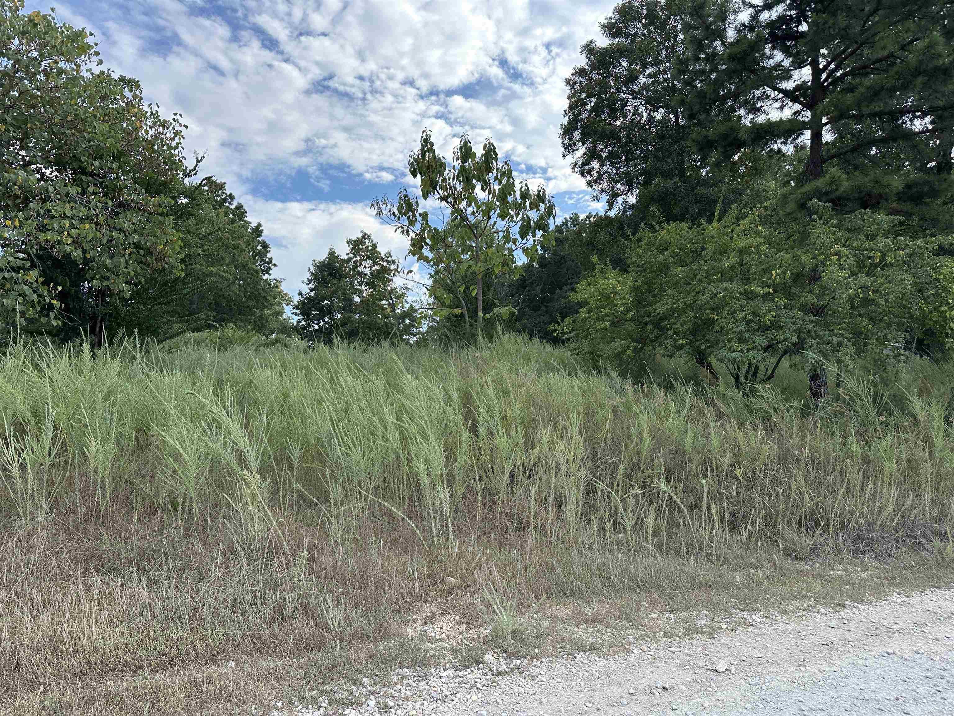 1158 Brushy Fork Road  Yellville, AR