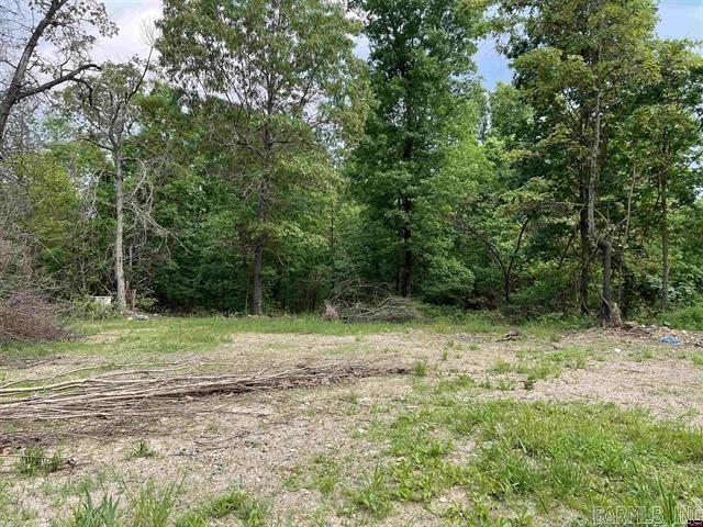 1158 Brushy Fork Road  Yellville, AR