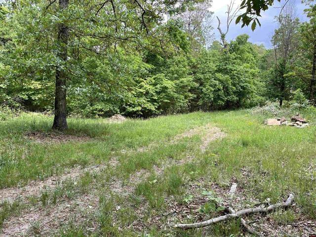 1158 Brushy Fork Road  Yellville, AR