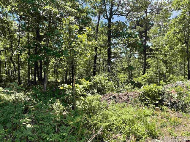 1158 Brushy Fork Road  Yellville, AR