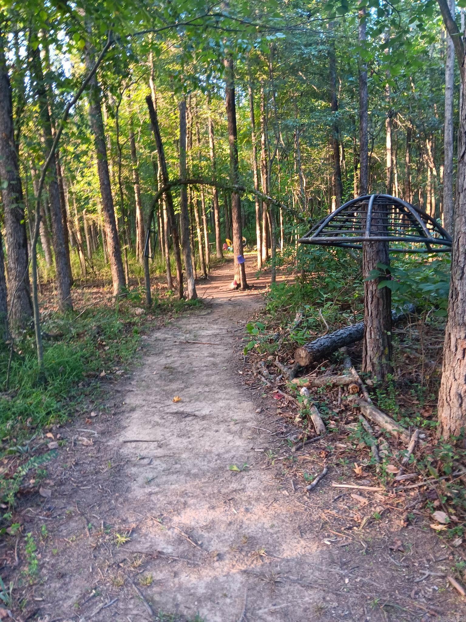 10282 Smith Ln  Dardanelle, AR