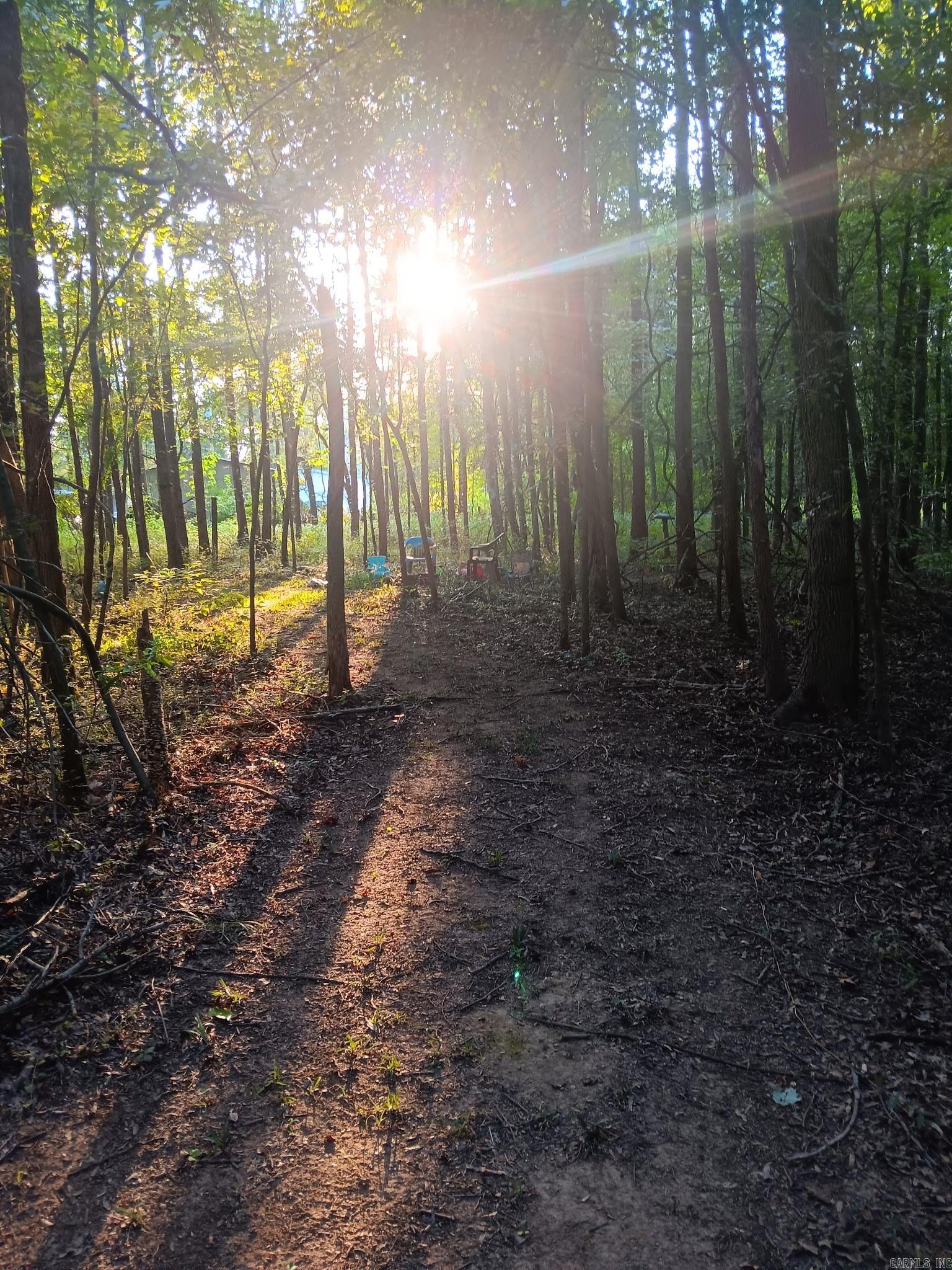 10282 Smith Ln  Dardanelle, AR