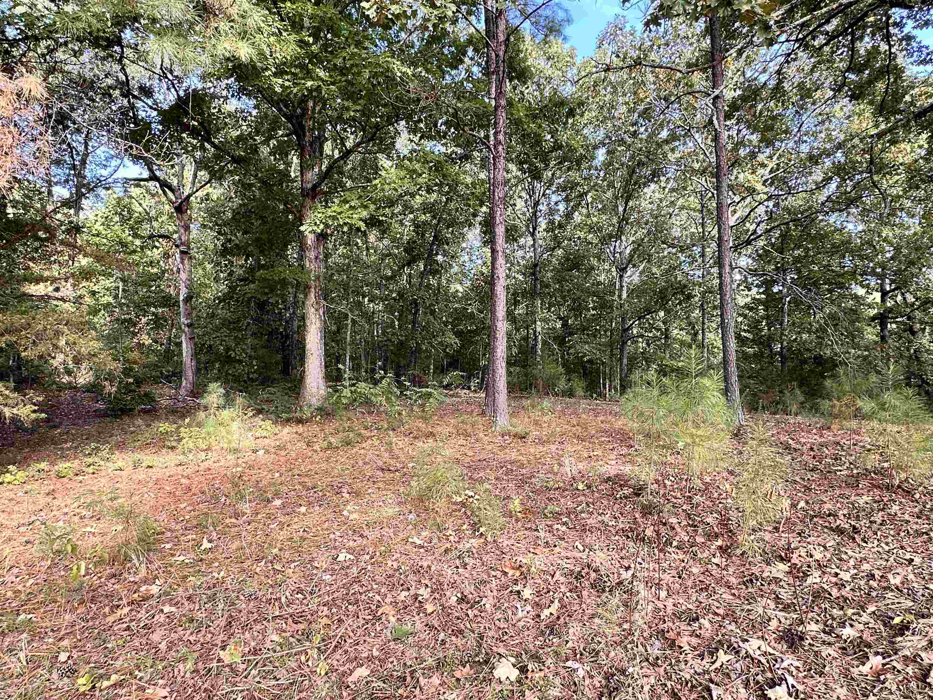 106 Edna  Highland, AR