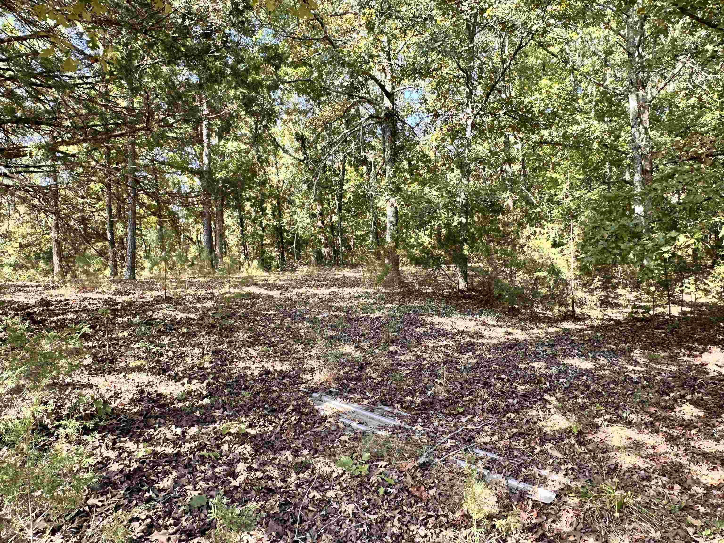 106 Edna  Highland, AR