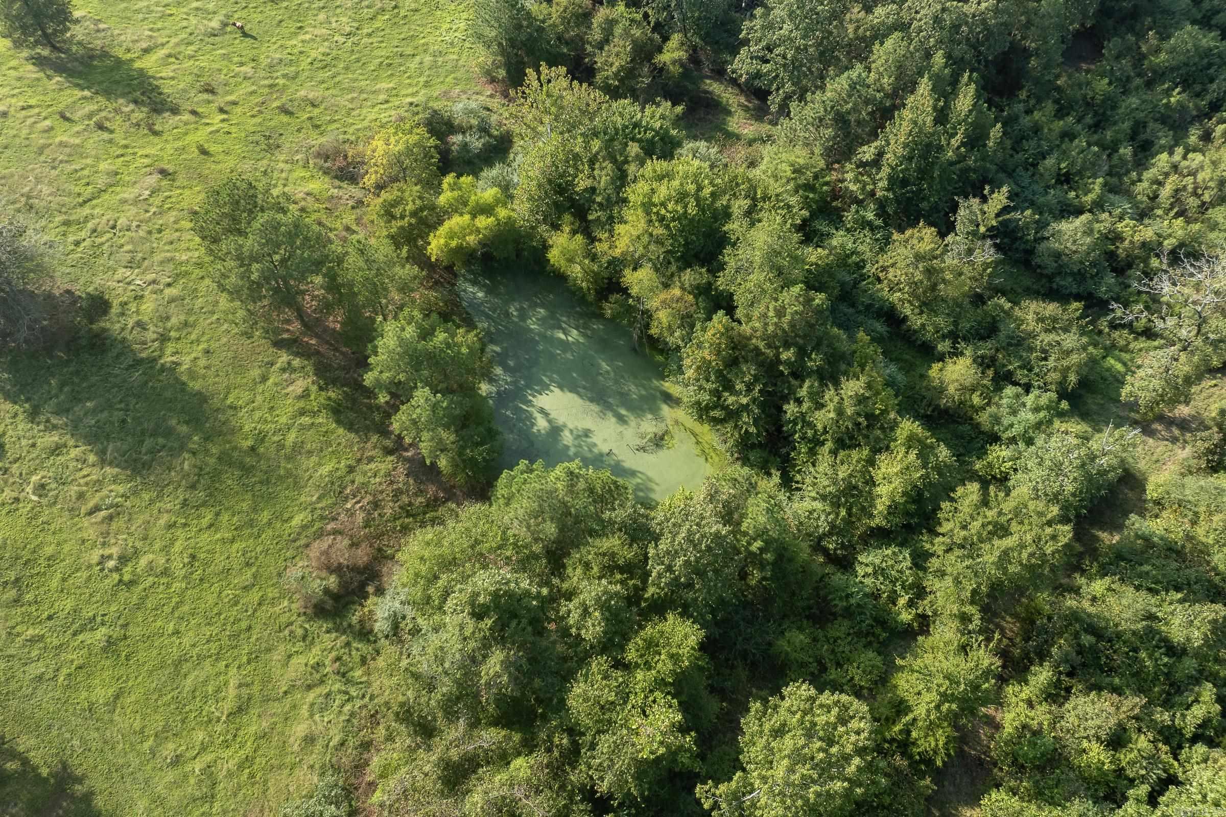 1426 N Hwy 71 De Queen, AR 71832