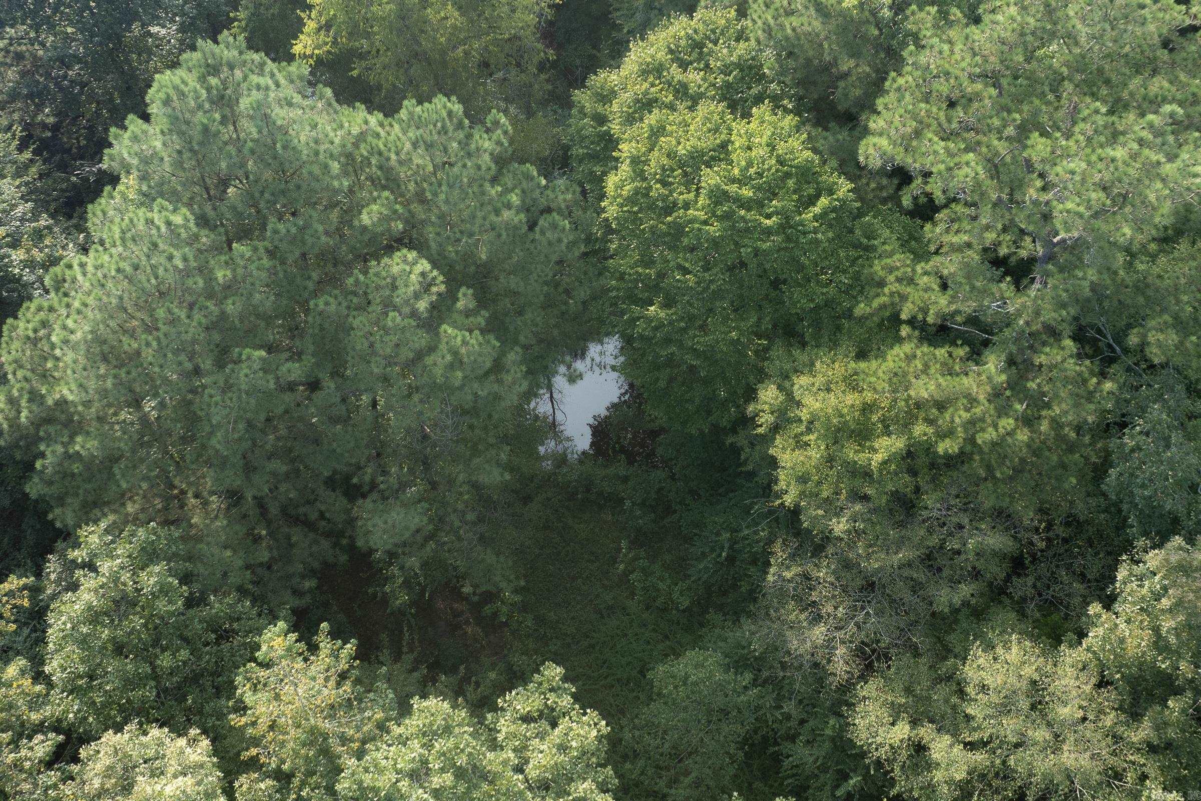 1426 N Hwy 71 De Queen, AR 71832