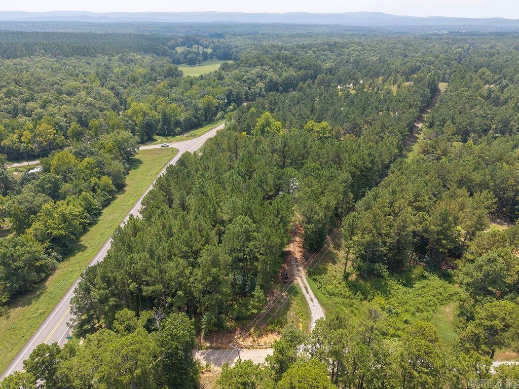 15 Big Bear  Story, AR