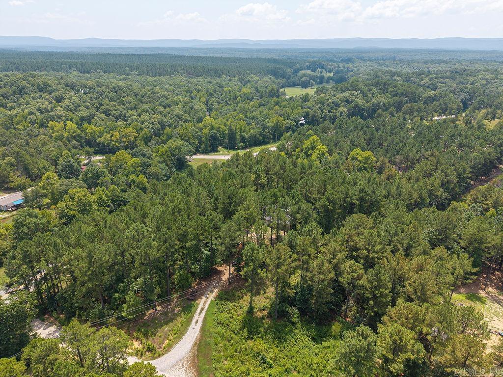 15 Big Bear  Story, AR