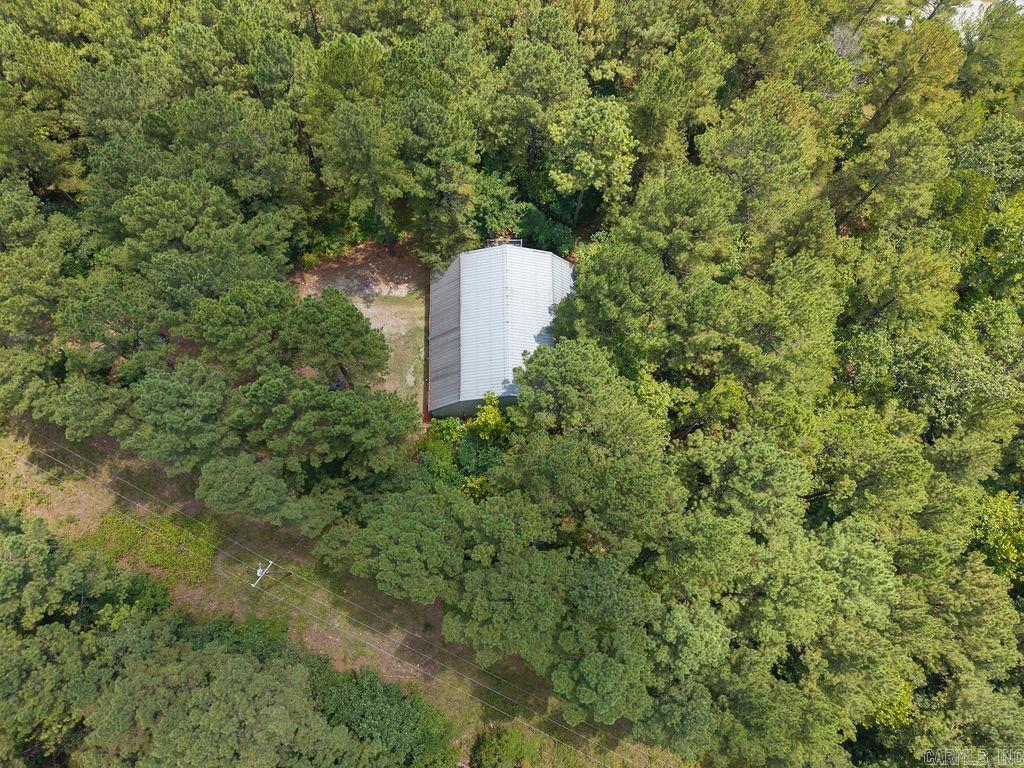 15 Big Bear  Story, AR