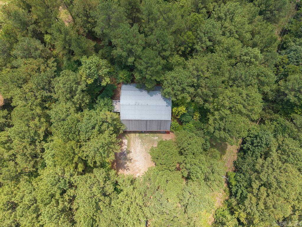 15 Big Bear  Story, AR