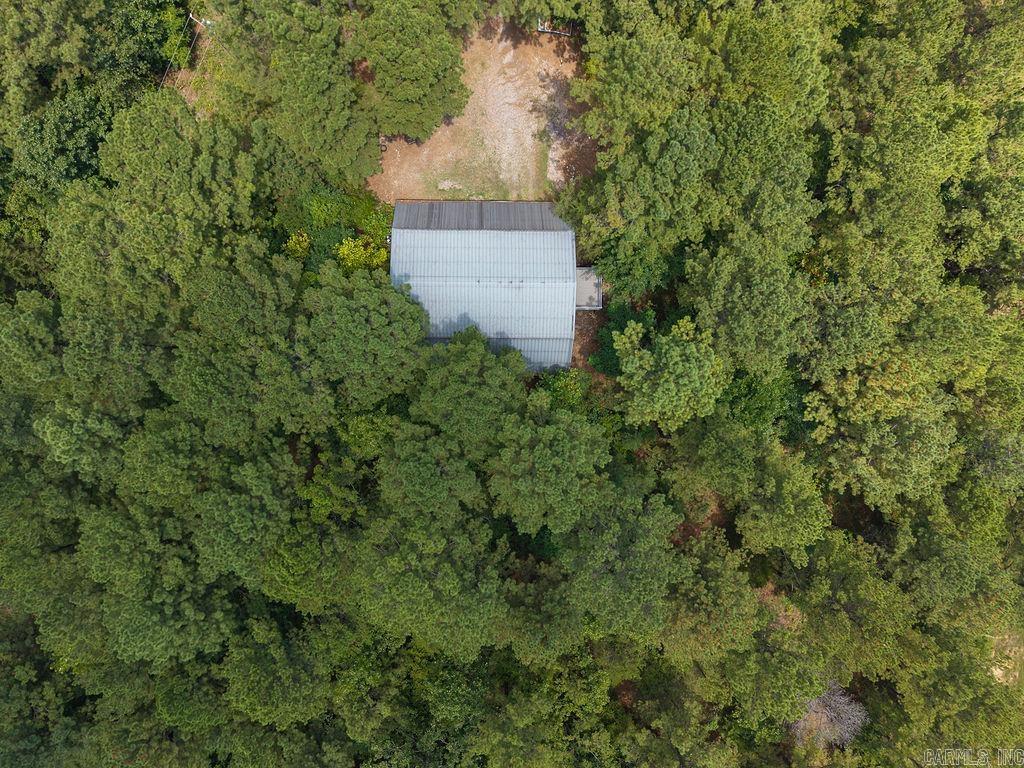 15 Big Bear  Story, AR