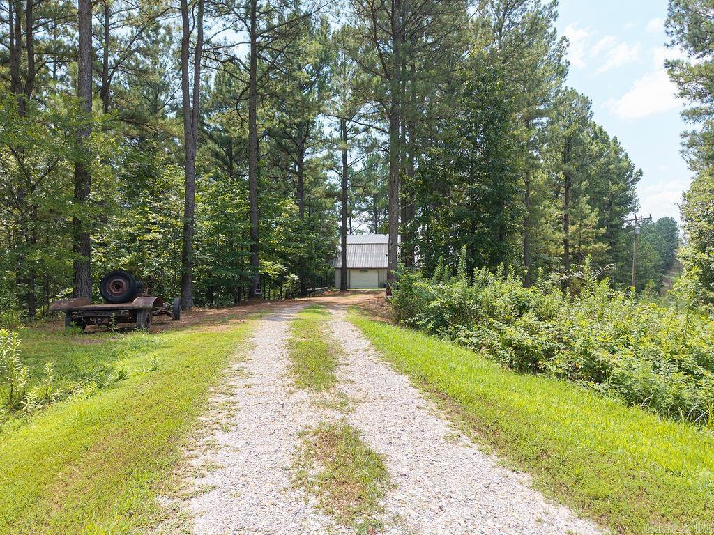 15 Big Bear  Story, AR