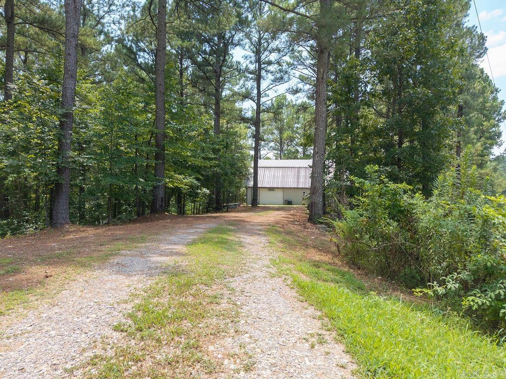 15 Big Bear  Story, AR