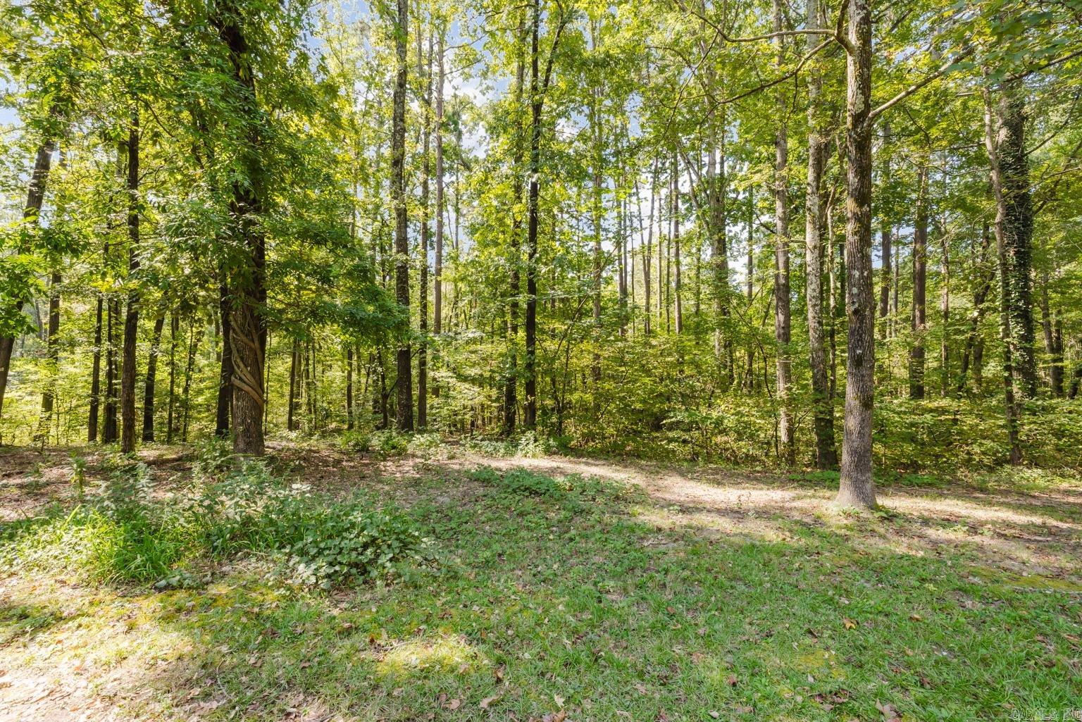 3707 Gattin Lot  J  Benton, AR