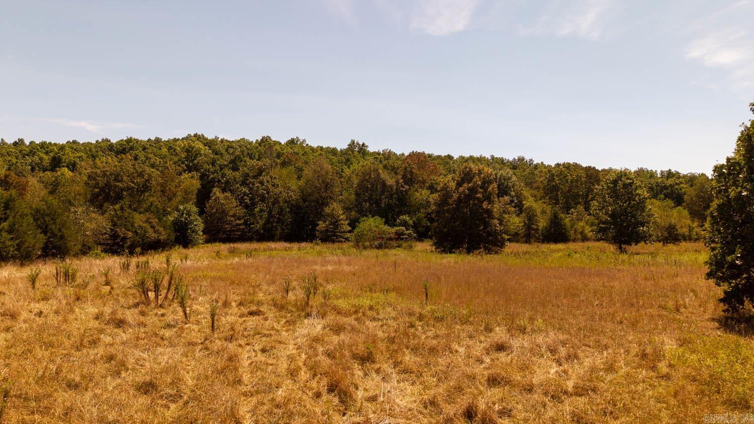 2000 County Road 100  Alton, MO