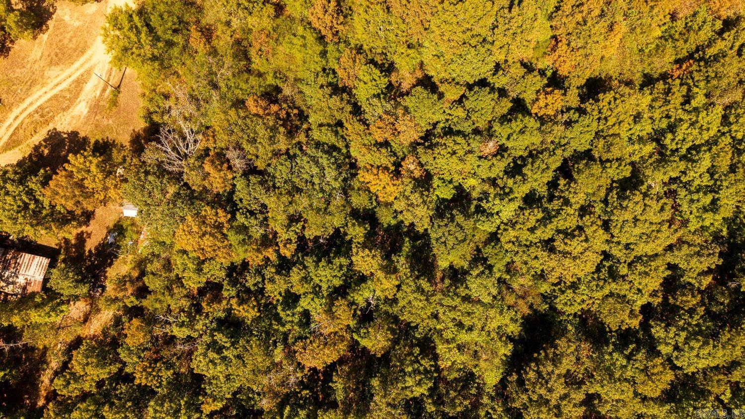 2000 County Road 100  Alton, MO