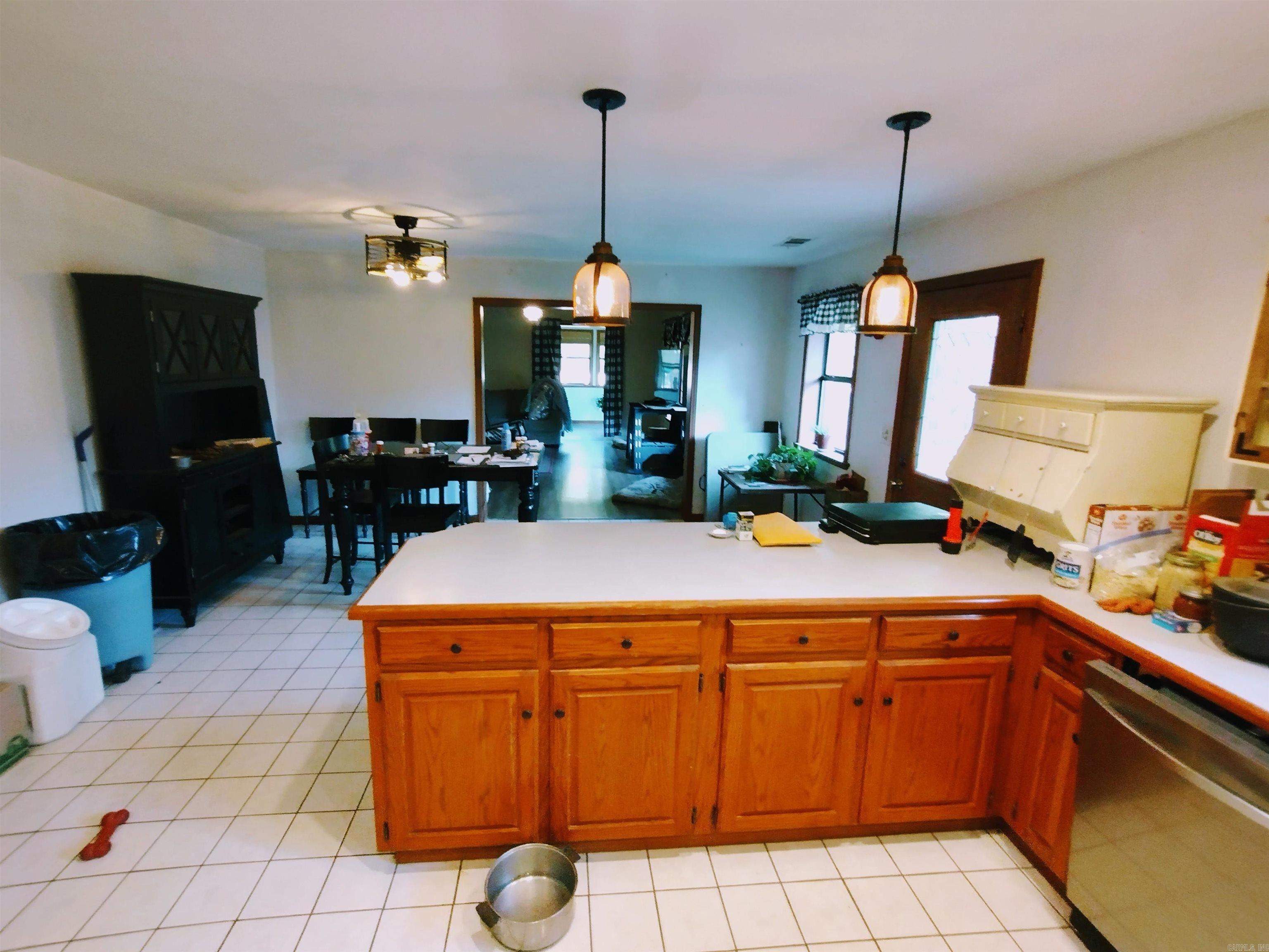 218 Cochran RD Mountain View, AR 72560