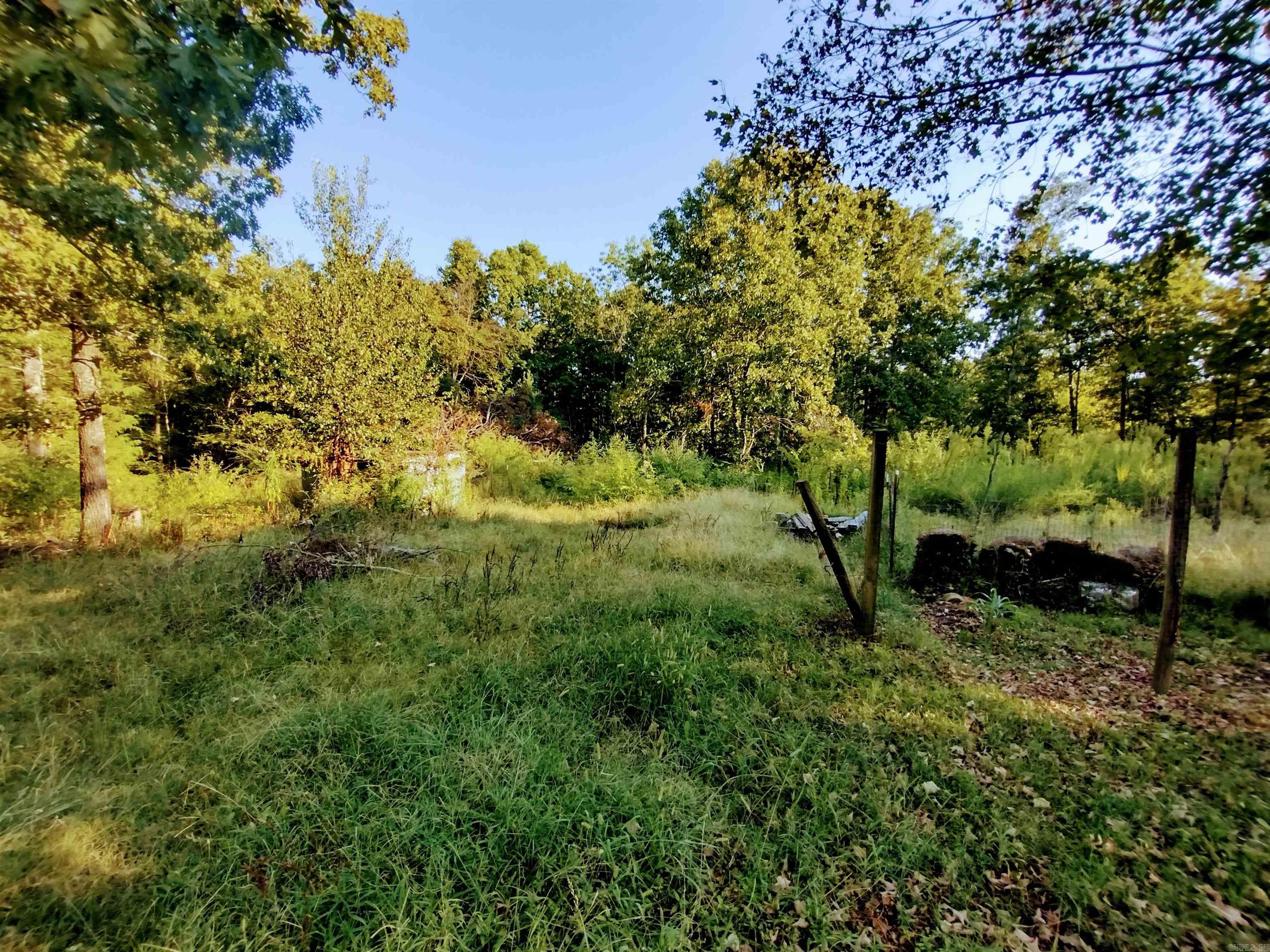 218 Cochran RD Mountain View, AR 72560