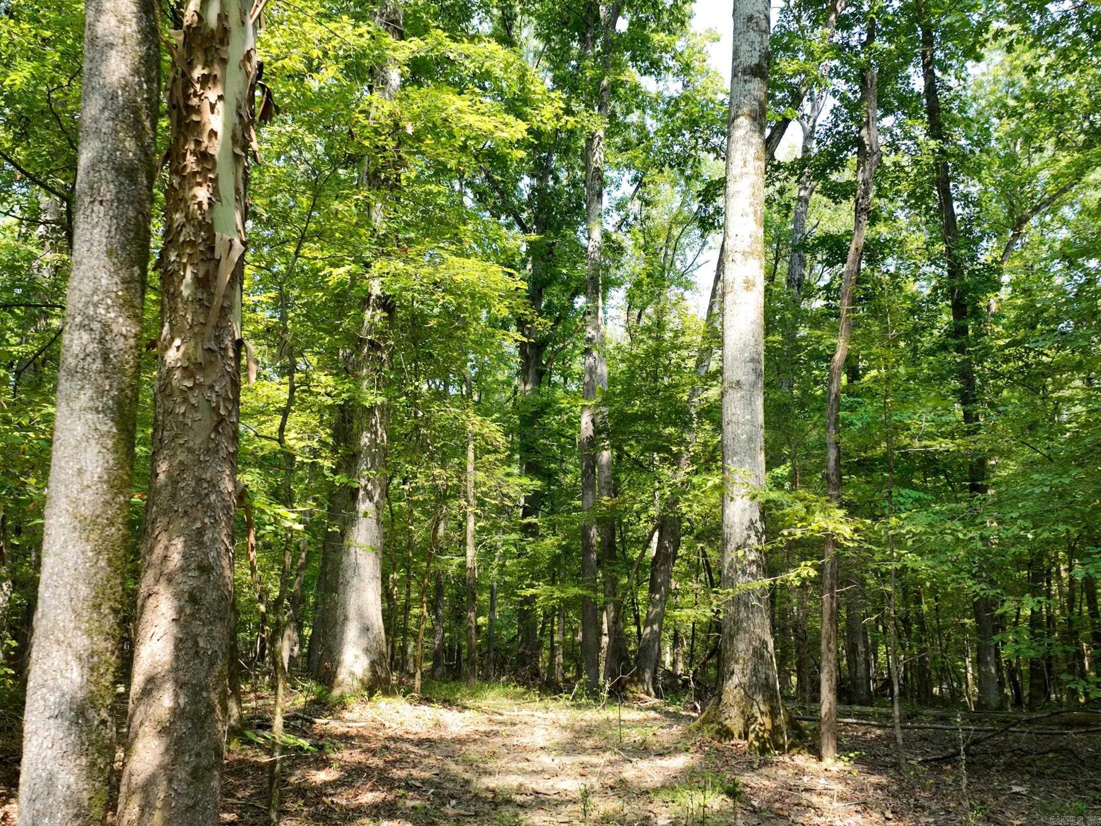 TBD Halyard  Hot Springs, AR