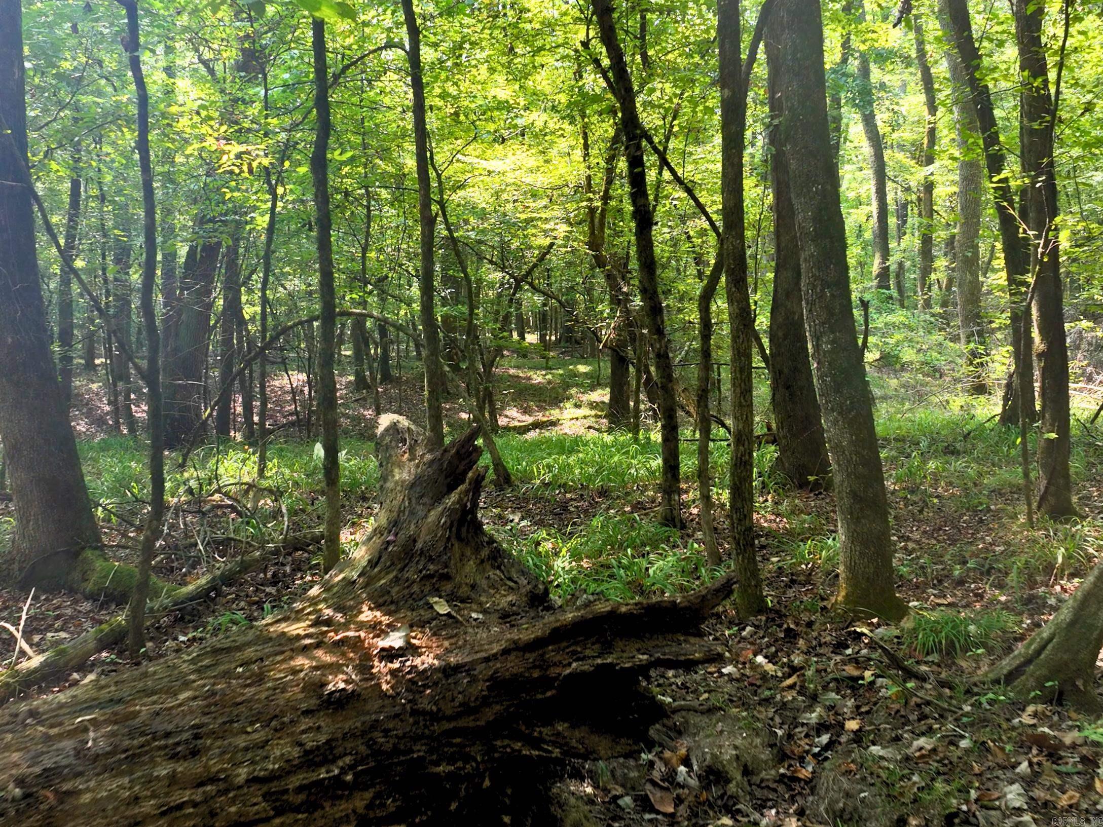 TBD Halyard  Hot Springs, AR