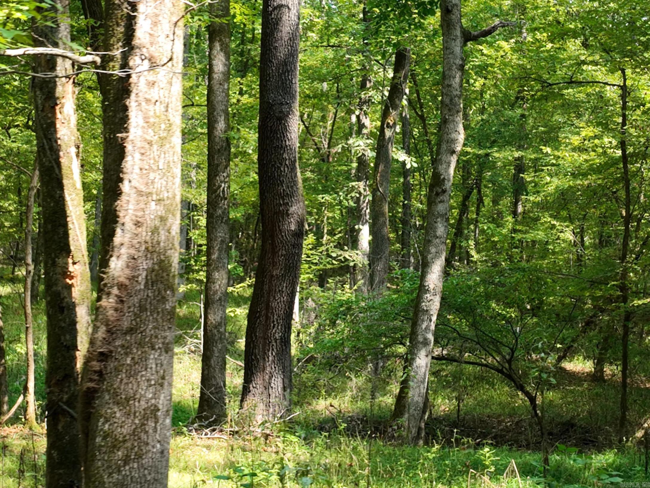 TBD Halyard  Hot Springs, AR