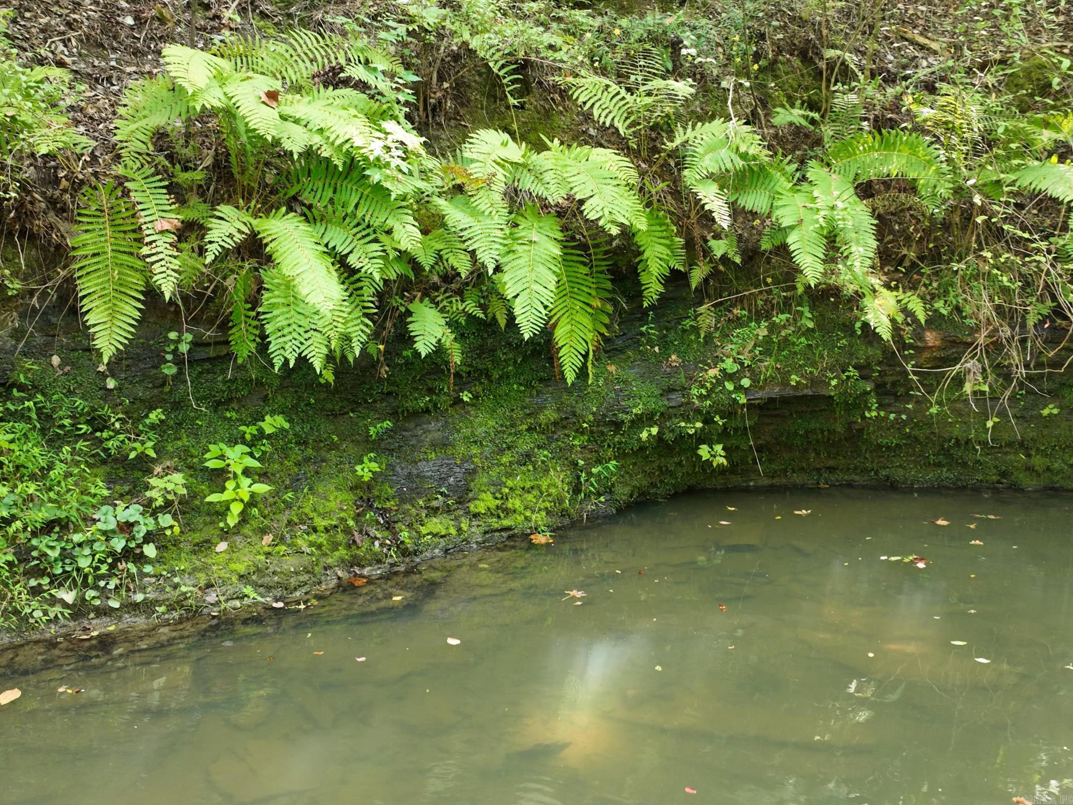 TBD Halyard  Hot Springs, AR