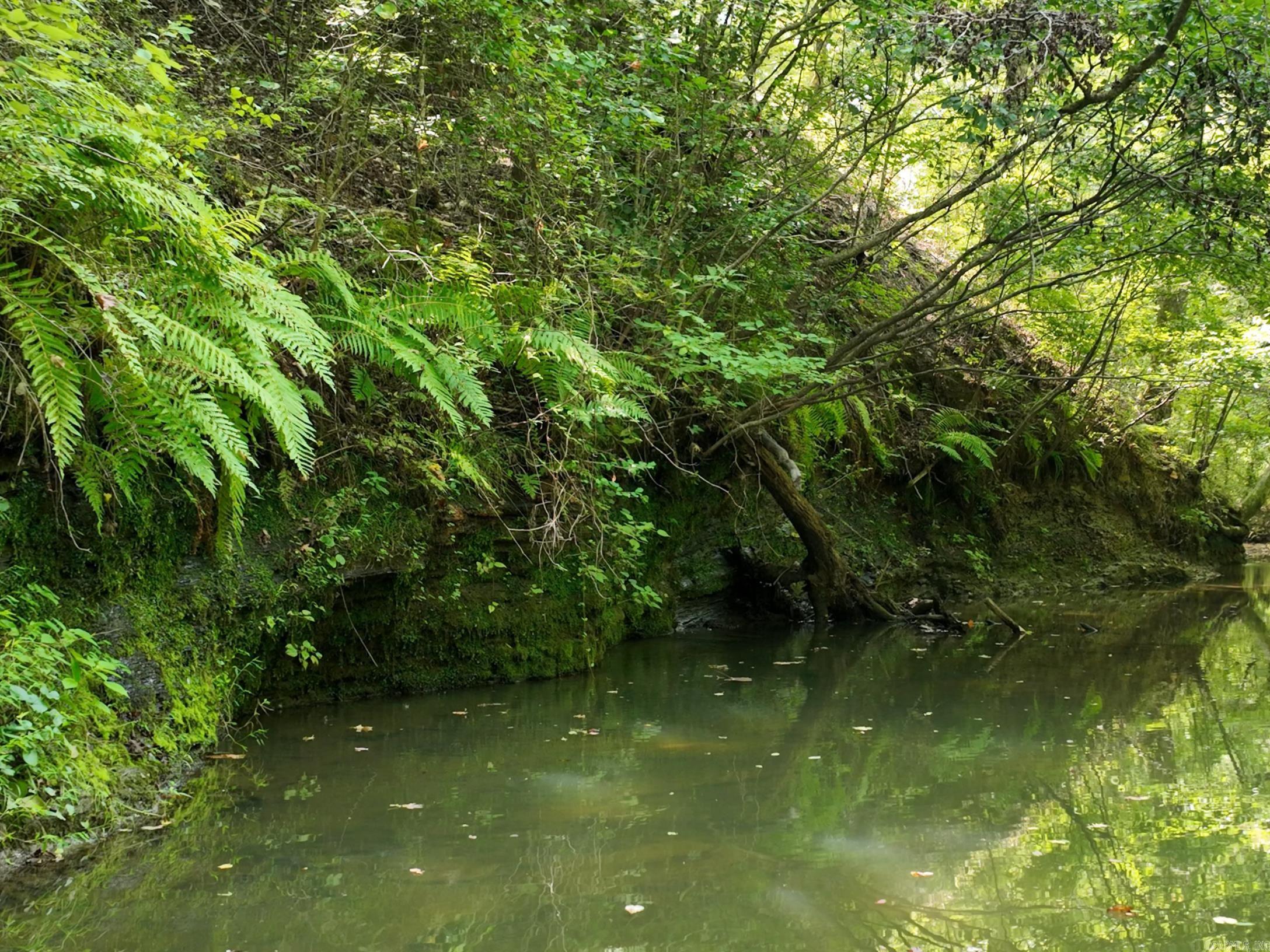 TBD Halyard  Hot Springs, AR