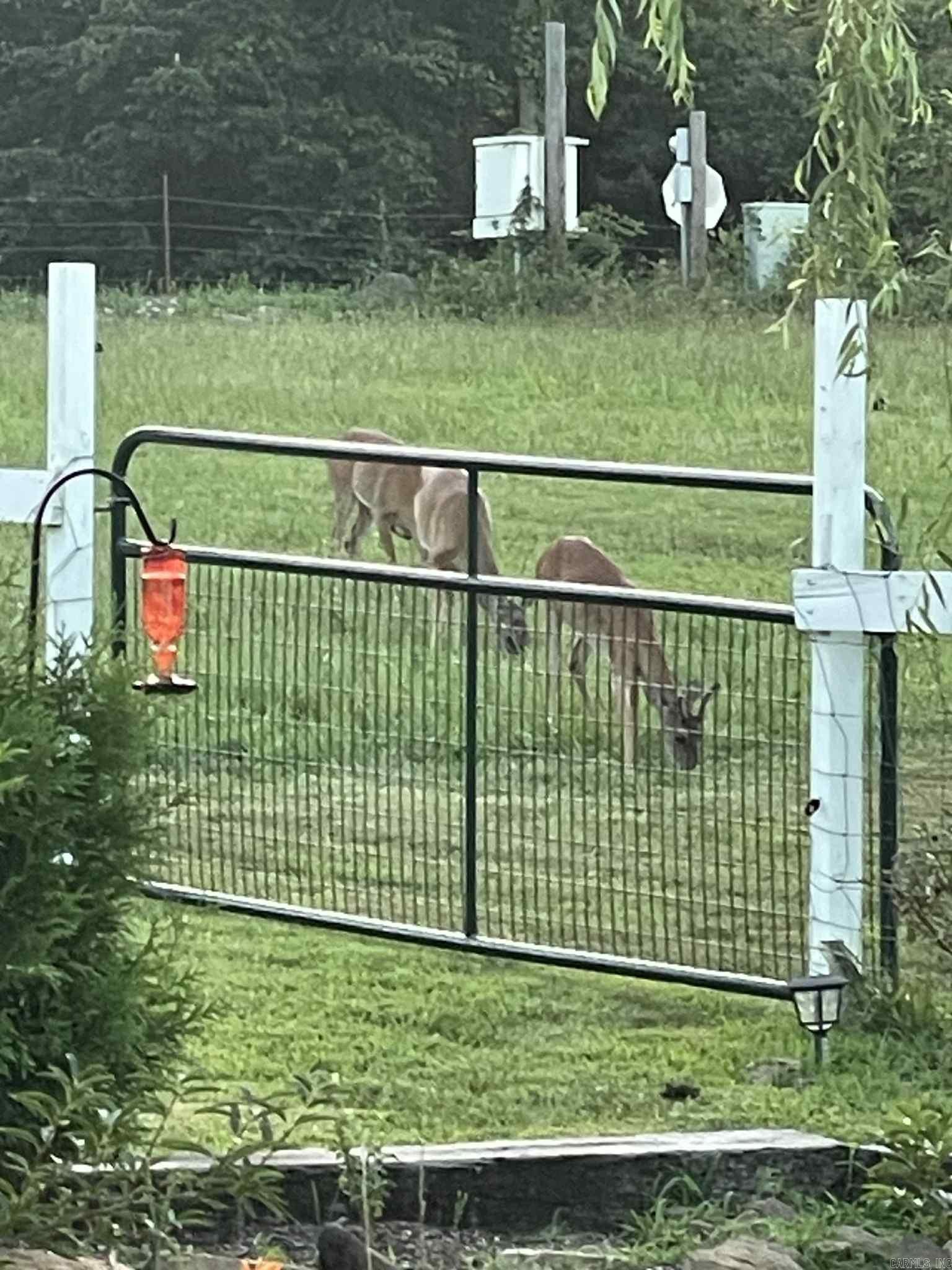 2462 Hilltop Road Marshall, AR 72650