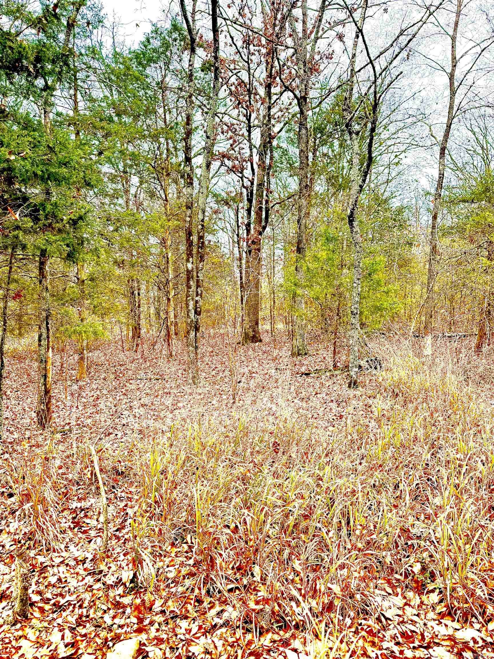 00 Sun Vista Land Behind Splash Oil Changing, Car Wash Cabot, AR