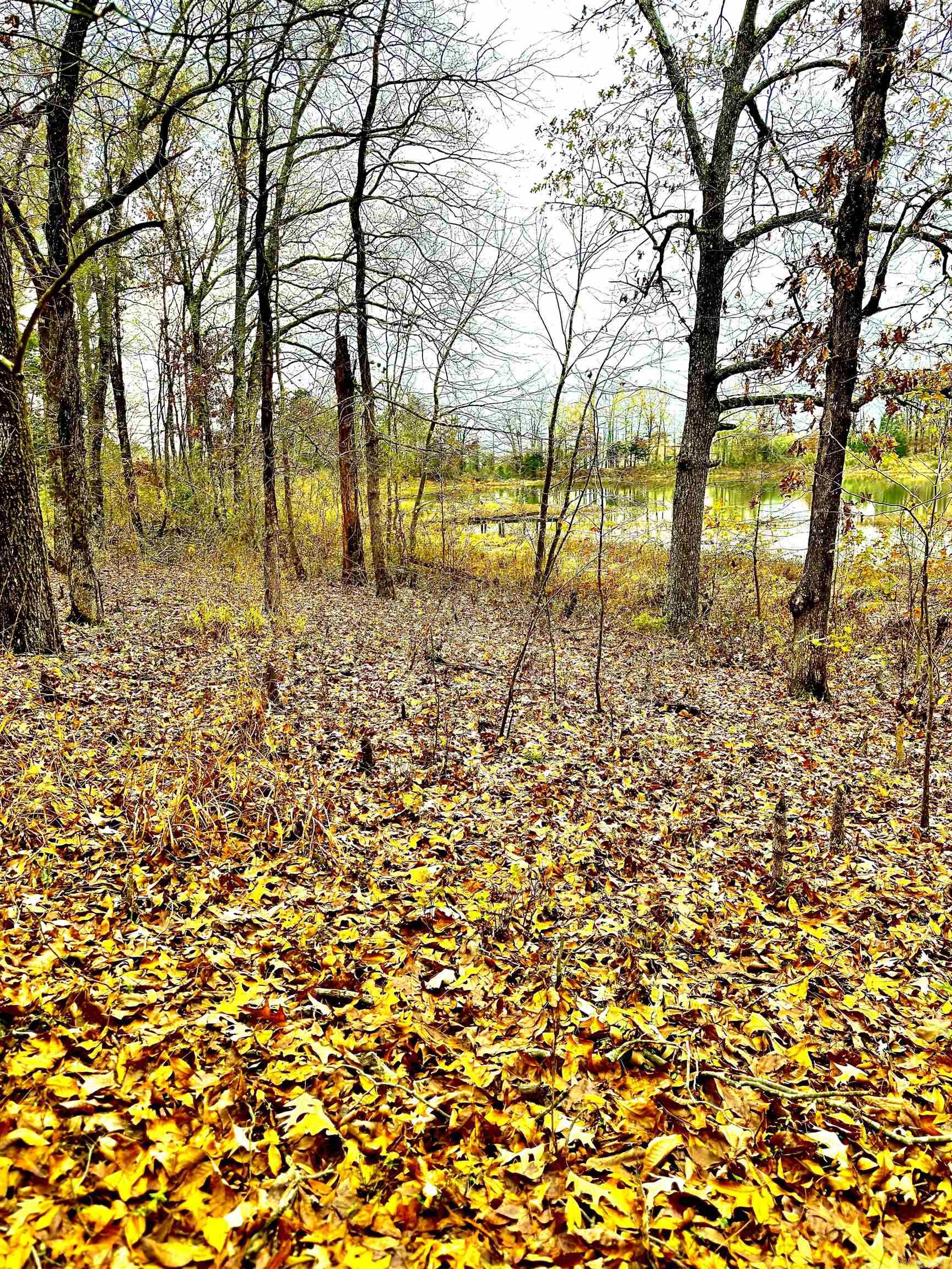 00 Sun Vista Land Behind Splash Oil Changing, Car Wash Cabot, AR