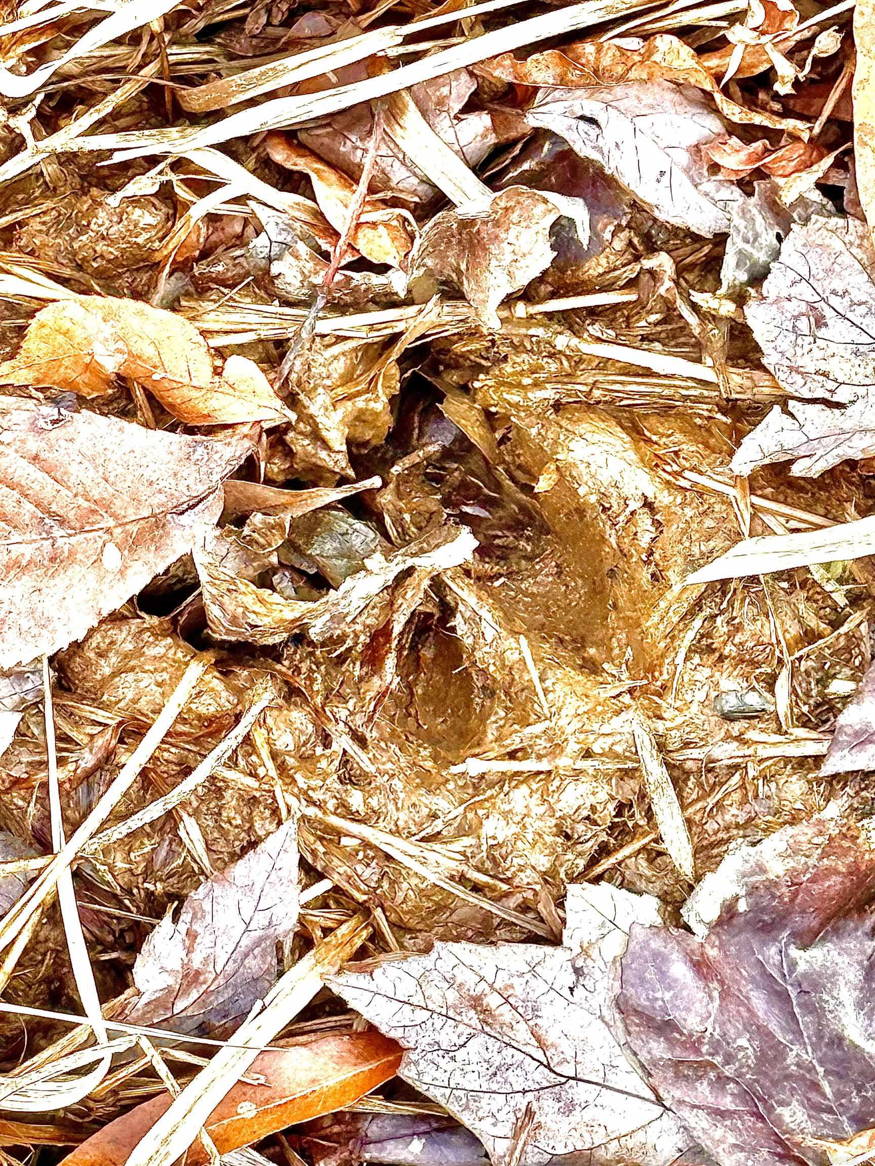 00 Sun Vista Land Behind Splash Oil Changing, Car Wash Cabot, AR