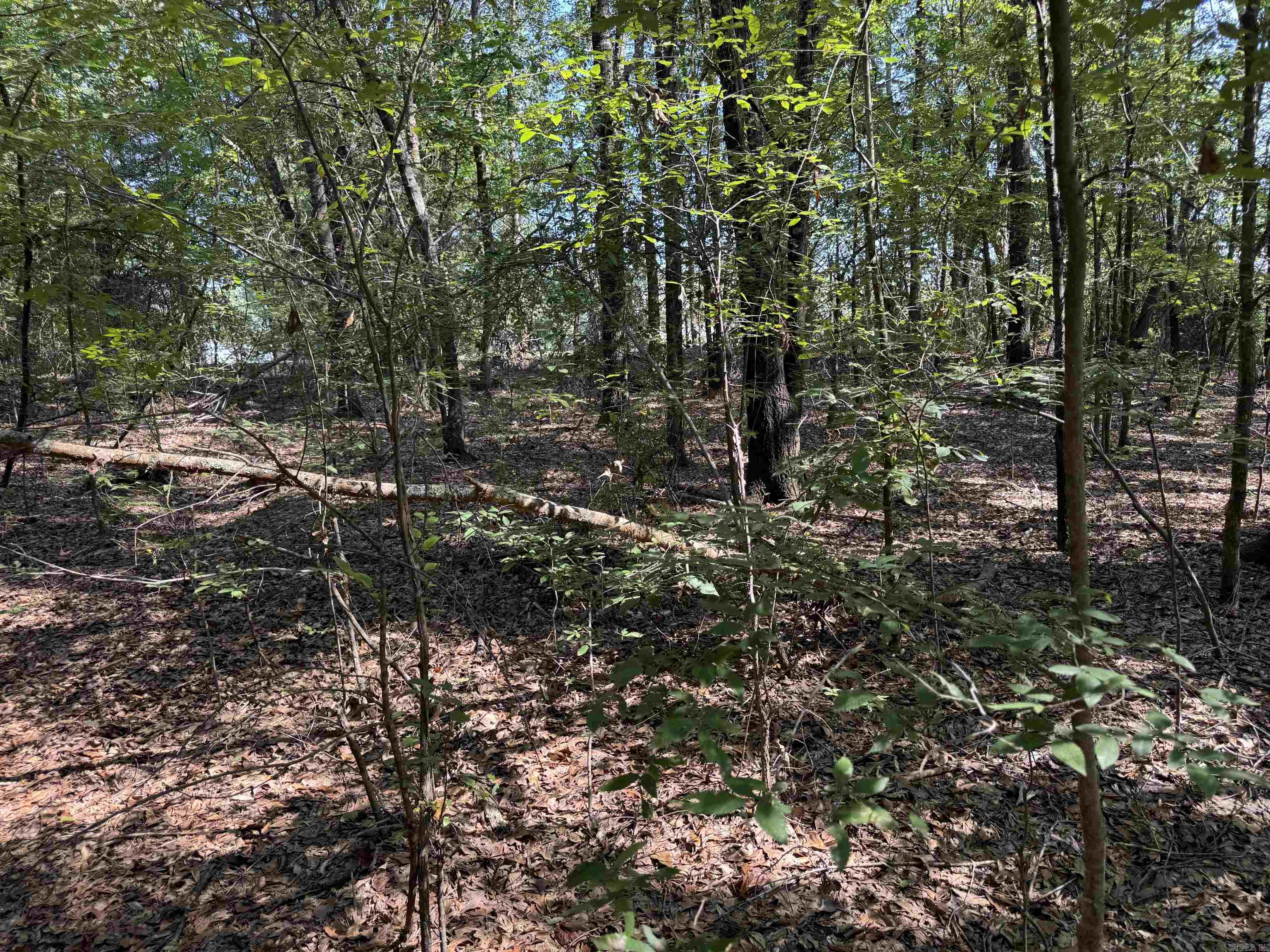 00 Calvary  Lonoke, AR